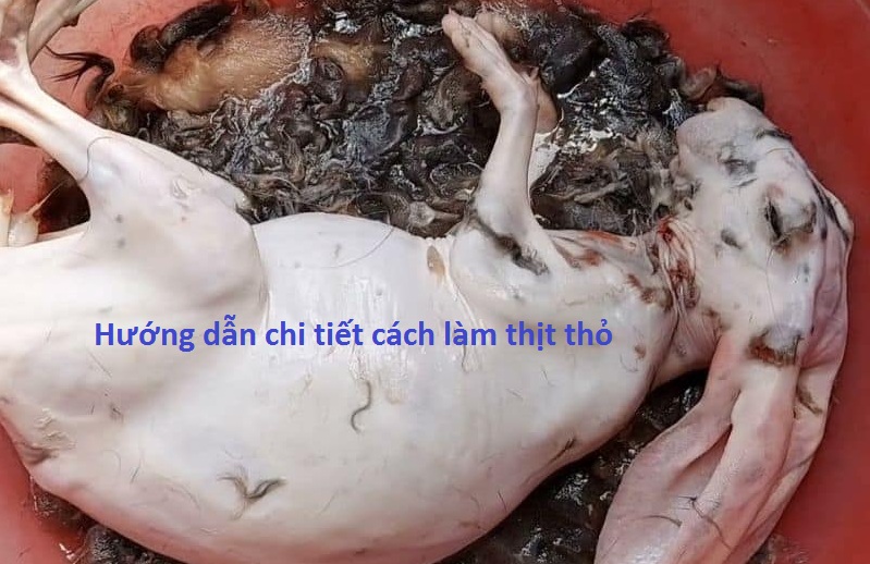 hướng dẫn cách làm thịt thỏ